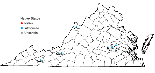 Locations ofLamium maculatum L. in Virginia