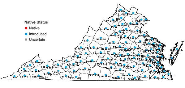 Locations ofLamium purpureum L. in Virginia
