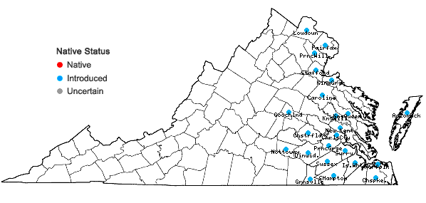 Locations ofLandoltia punctata (G. Mey.) D.H. Les & D.J. Crawford in Virginia