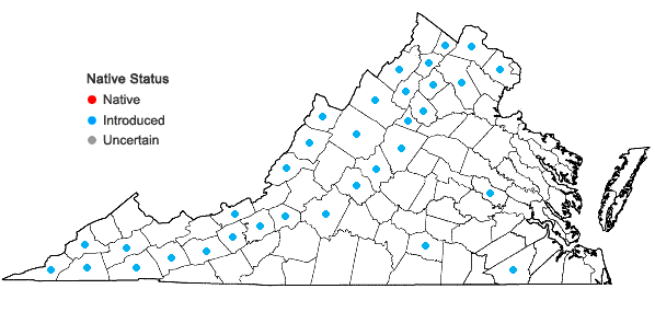 Locations ofLapsana communis L. in Virginia