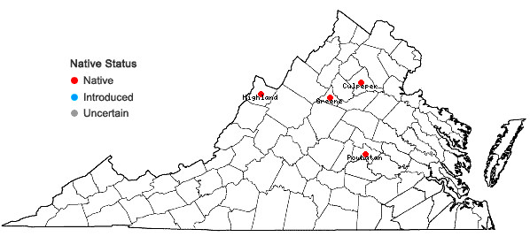 Locations ofLechea intermedia Leggett ex Britt. var. intermedia in Virginia