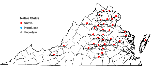 Locations ofLechea pulchella Raf. var. pulchella in Virginia