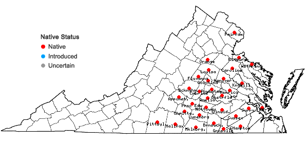 Locations ofLechea tenuifolia Michx. in Virginia