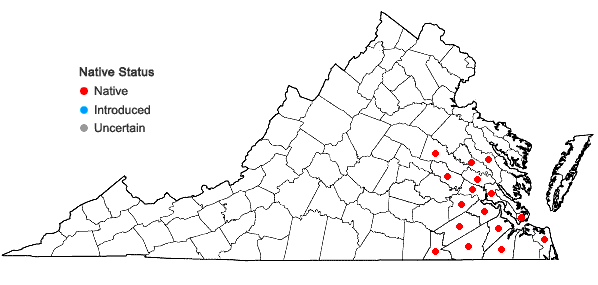 Locations ofLeersia lenticularis Michx. in Virginia