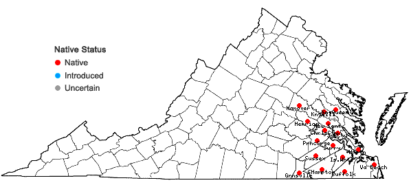 Locations ofLeersia lenticularis Michx. in Virginia