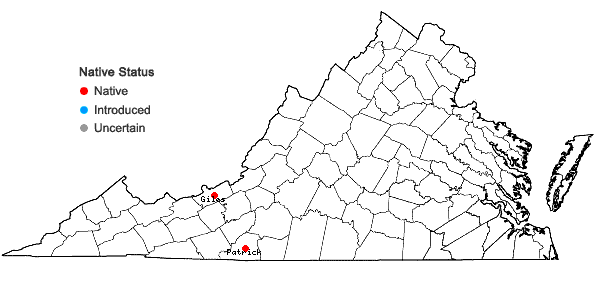 Locations ofLejeunea blomquistii R.M. Schuster in Virginia