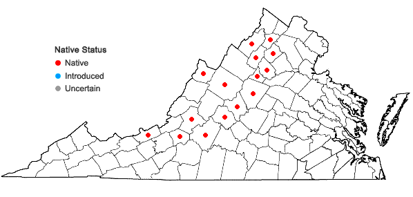 Locations ofLejeunea cavifolia (Ehrh.) Lindb. in Virginia