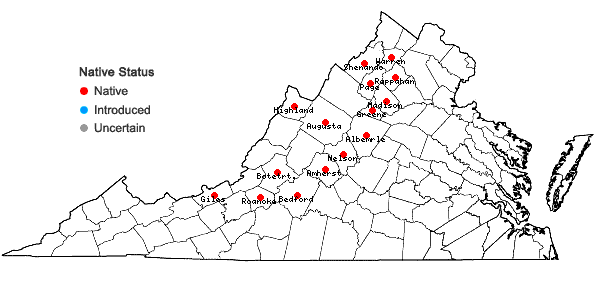 Locations ofLejeunea cavifolia (Ehrh.) Lindb. in Virginia