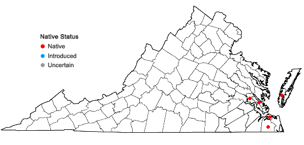 Locations ofLejeunea deplanata Nees in Virginia