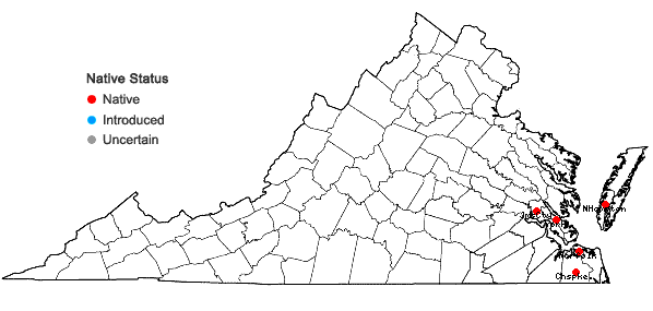 Locations ofLejeunea deplanata Nees in Virginia