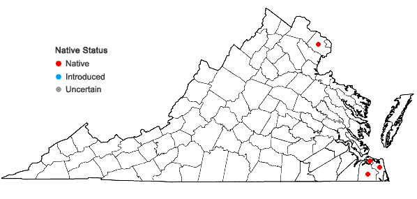Locations ofLejeunea flava (Sw.) Nees ssp. flava in Virginia