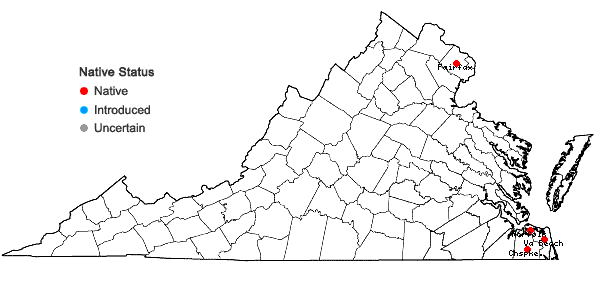Locations ofLejeunea flava (Sw.) Nees ssp. flava in Virginia