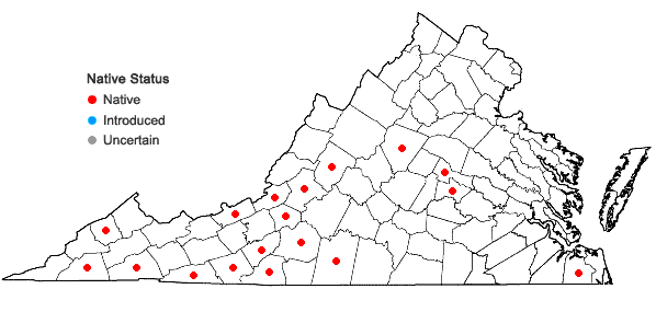Locations ofLejeunea laetevirens Nees & Mont. in Virginia