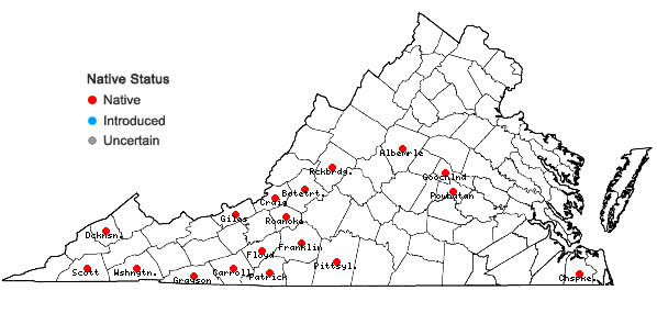 Locations ofLejeunea laetevirens Nees & Mont. in Virginia