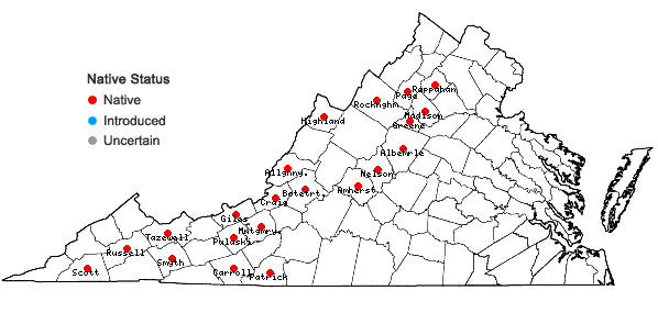 Locations ofLejeunea lamacerina (Steph.) Schiffn. ssp. gemminata R.M. Schust. in Virginia