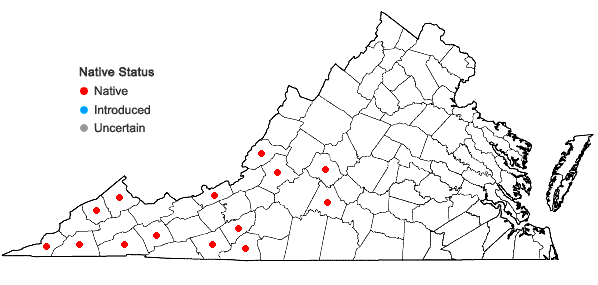 Locations ofLejeunea ruthii (A. Evans) R.M. Schust. in Virginia