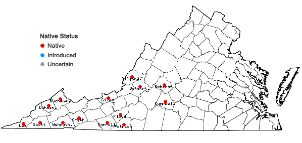 Locations ofLejeunea ruthii (A. Evans) R.M. Schust. in Virginia
