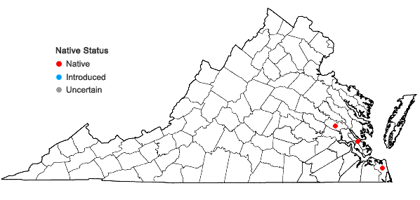Locations ofLemna aequinoctialis Welw. in Virginia