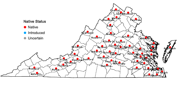 Locations ofLemna minor L. in Virginia