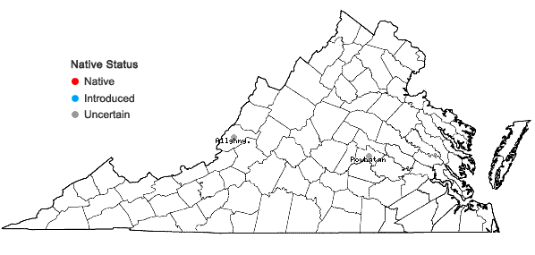 Locations ofLemna minuta Kunth in Virginia