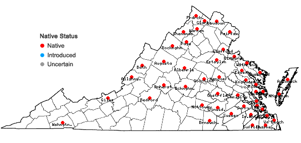 Locations ofLemna perpusilla Torr. in Virginia