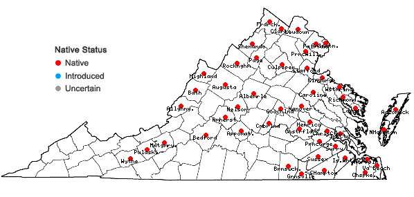 Locations ofLemna valdiviana Phil. in Virginia
