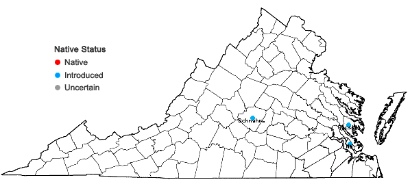 Locations ofLeonurus japonicus Houtt. in Virginia