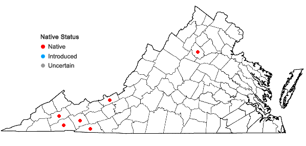 Locations ofLepidozia reptans (L.) Dumort. in Virginia