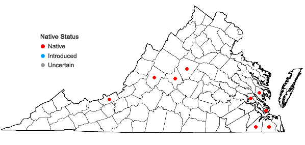 Locations ofLeptobryum pyriforme (Hedw.) Wilson in Virginia
