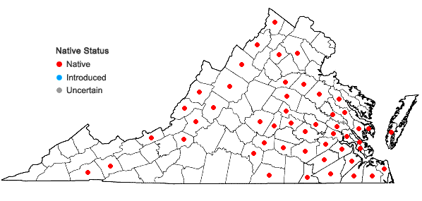 Locations ofLeptodictyum riparium (Hedw.) Warnst. in Virginia