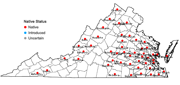 Locations ofLeptodictyum riparium (Hedw.) Warnst. in Virginia