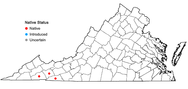 Locations ofLeptodontium viticulosoides (P. Beauvois) Wijk & Margadant var. sulphureum (Müll. Hal.) R.H. Zander in Virginia