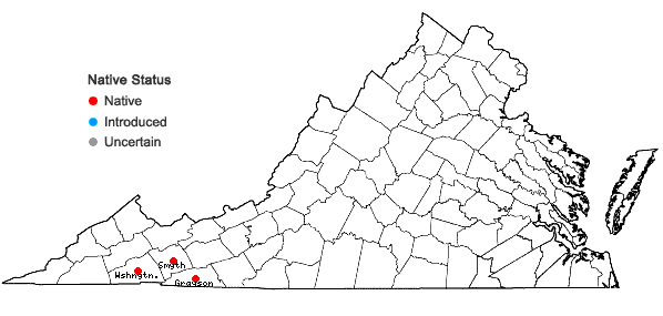 Locations ofLeptodontium viticulosoides (P. Beauvois) Wijk & Margadant var. sulphureum (Müll. Hal.) R.H. Zander in Virginia
