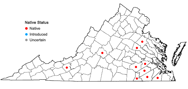 Locations ofLeptoloma cognatum (Schultes) Chase in Virginia