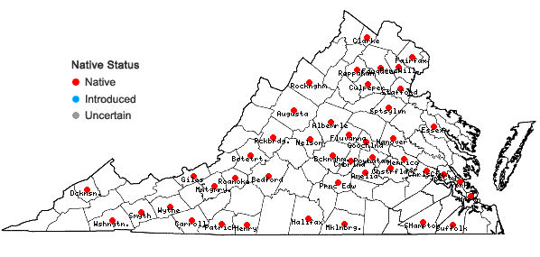 Locations ofLeskea gracilescens Hedwig in Virginia