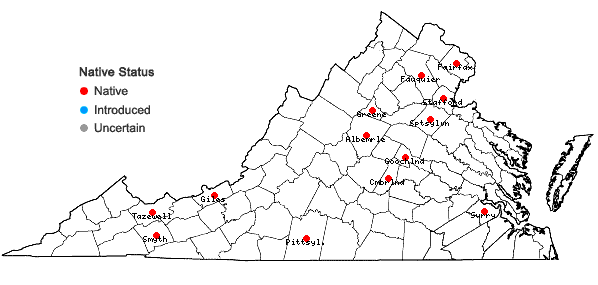 Locations ofLeskea obscura Hedwig in Virginia