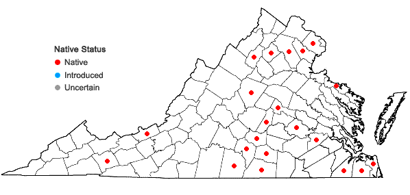 Locations ofLeskea polycarpa Hedw. in Virginia