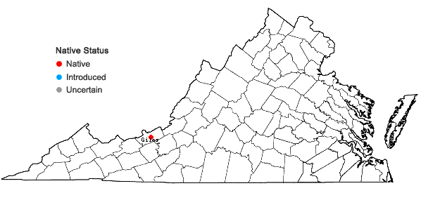 Locations ofLeskeella nervosa (Brid.) Loeske in Virginia