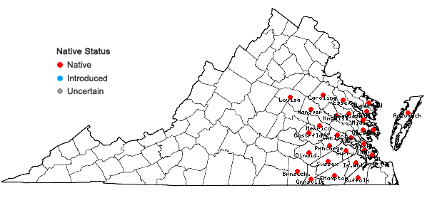Locations ofLespedeza angustifolia (Pursh) Ell. in Virginia