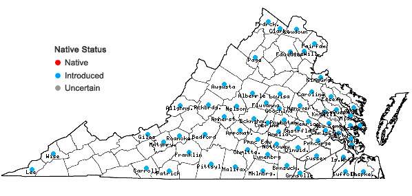 Locations ofLespedeza bicolor Turcz. in Virginia