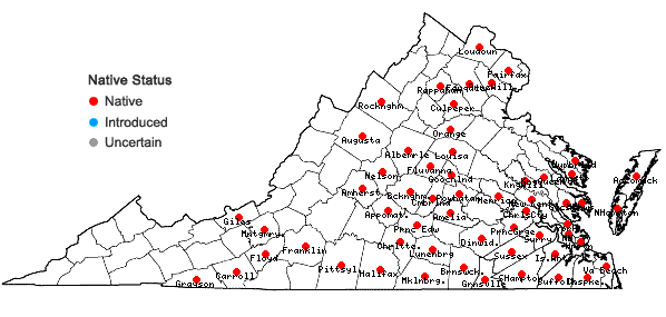 Locations ofLespedeza capitata Michx. in Virginia