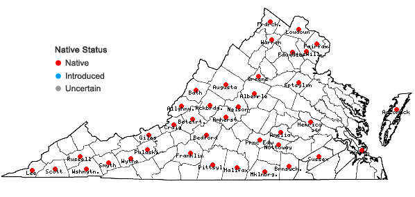 Locations ofLespedeza frutescens (L.) Ell. in Virginia