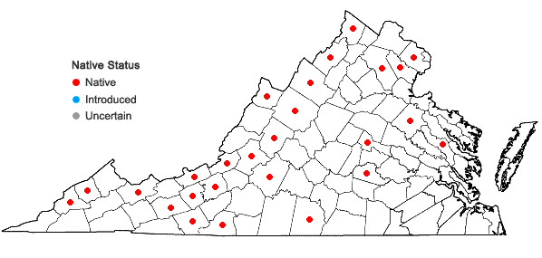 Locations ofLespedeza hirta (L.) Hornemann var. hirta in Virginia