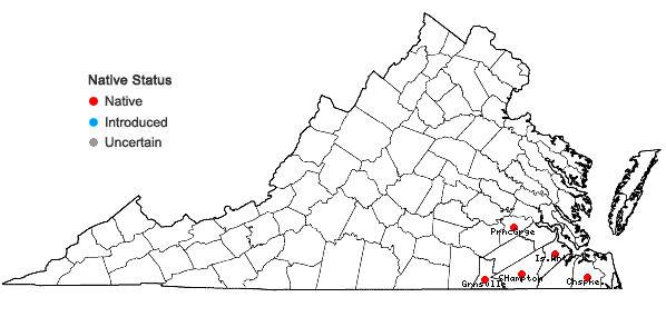 Locations ofLespedeza hirta (L.) Hornemann var. curtissii (Clewell) Isely in Virginia