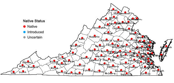 Locations ofLespedeza procumbens Michx. in Virginia