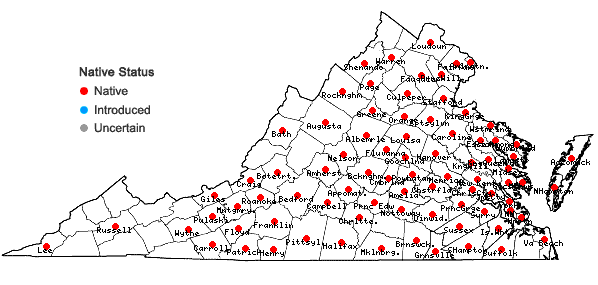 Locations ofLespedeza virginica (L.) Britt. in Virginia