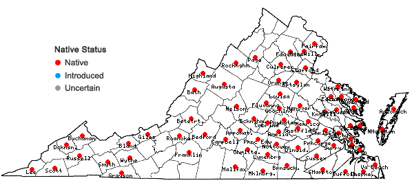 Locations ofLeucobryum albidum (Brid. ex P. Beauv.) Lindb. in Virginia