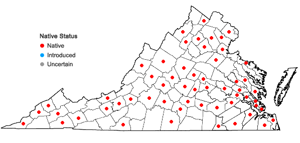 Locations ofLeucobryum glaucum (Hedw.) Ångstr in Virginia