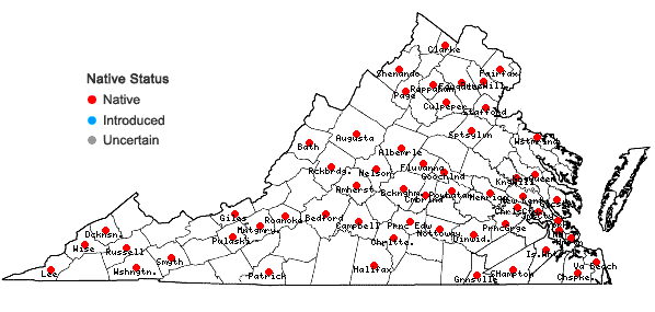 Locations ofLeucobryum glaucum (Hedw.) Ångstr in Virginia