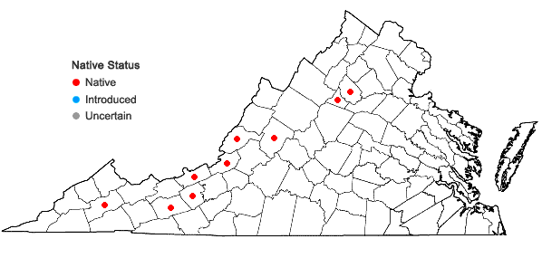 Locations ofLeucodon andrewsianus (H.A. Crum & L.E. Anderson) W.D. Reese & L.E. Anderson in Virginia